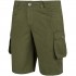 Men's shorts Alpinus Hekla green SI18154 M