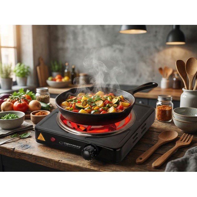 Esperanza EKH012K Black electric stove