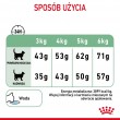 ROYAL CANIN Digestive Care Adult - dry cat food - 400g