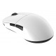 Endgame Gear XM2we mouse Gaming Right-hand RF Wireless + USB Type-C Optical 19000 DPI