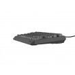 GENESIS Thor 230 TKL keyboard Gaming USB QWERTY Czech, Slovakian Black GENESIS Thor 230 TKL keyboard Gaming USB QWERTY Czech, Slovakian Black