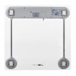 Clatronic PW 3368 Electronic Personal Scale (Transparent/Silver)