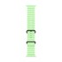 Apple Black Titanium Finish Band Green Fluoroelastomer, Titanium