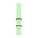 Apple Black Titanium Finish Band Green Fluoroelastomer, Titanium Apple Black Titanium Finish Band Green Fluoroelastomer, Titanium