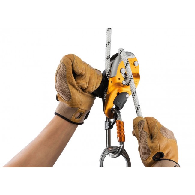 Black descent device PETZL