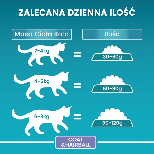 PURINA One Bifensis Coat & Hairball Chicken - dry cat food - 800 g PURINA One Bifensis Coat & Hairball Chicken - dry cat food - 800 g
