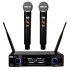 DNA Professional DVS2 - wireless microphone, 2 handheld transmitters + base unit (560 590 MHz)