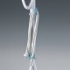 ARIETE 4164 MULTI STEAM SYSTEM Steam mop 10in1 0.35 L 1500 W White ARIETE 4164 MULTI STEAM SYSTEM Steam mop 10in1 0.35 L 1500 W White