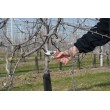 Felco 2 pruning shears Anvil Red Felco 2 pruning shears Anvil Red