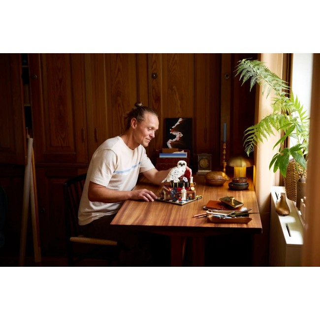 LEGO HARRY POTTER 76466 Sorcerer s Stone - Collectors Edition