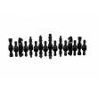 Millennium ChessGenius Chess set International