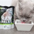 VETEXPERT Raw Paleo Adult Cat Venison - wet cat food - 100 g