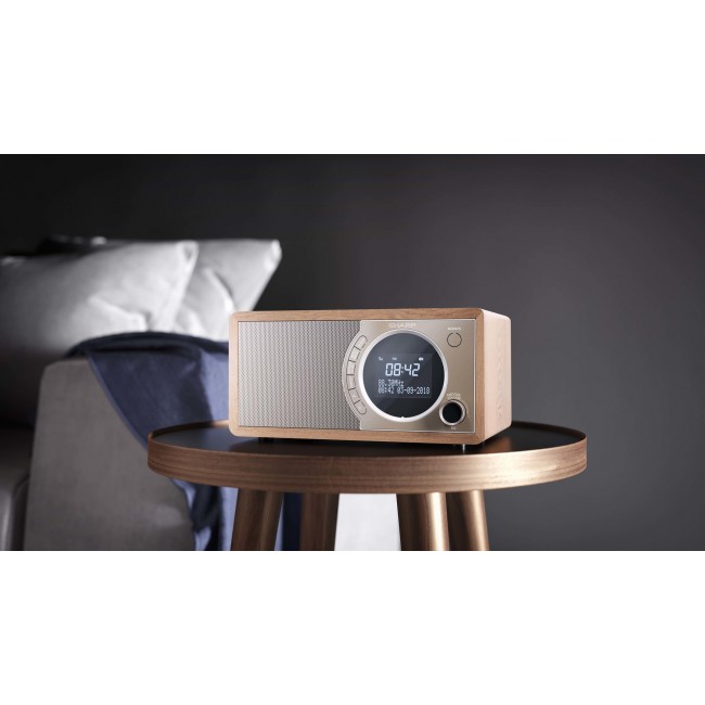 Sharp DR-450 Personal Digital Brown, Stainless steel Sharp DR-450 Personal Digital Brown, Stainless steel