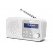 Sharp DR-P420 Portable Digital White