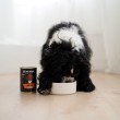 PAKA ZWIERZAKA Seventh Heaven Venison with raspberries Mono - wet dog food - 400g
