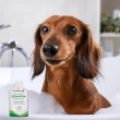 JM SANTE Poliderm - shampoo for dog and cat - 15 ml