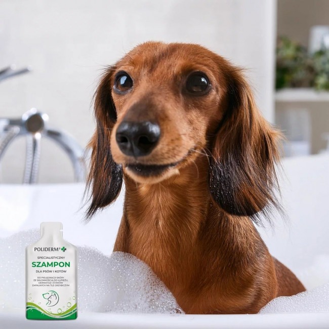 JM SANTE Poliderm - shampoo for dog and cat - 15 ml