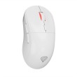 GENESIS Zircon XIII white