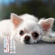JM SANTE Vet Protector Ligo - eye drops for dogs and cats 3 ml