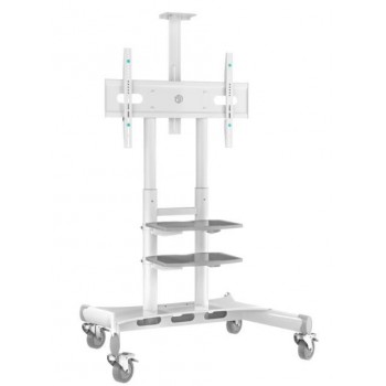 Mobile TV Stand 50