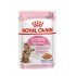 ROYAL CANIN FHN Kitten Sterilised - Wet cat food - 12x85g