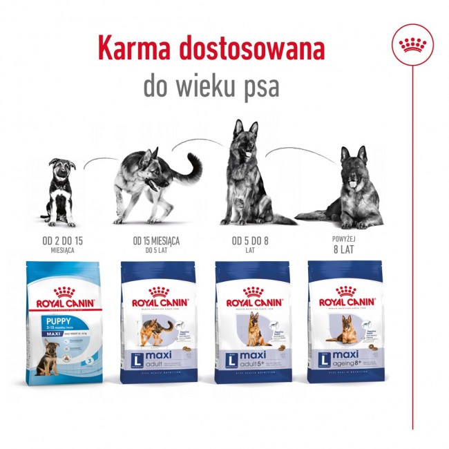 ROYAL CANIN Maxi Adult 5+ - dry dog food - 15 kg