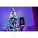 Twinkly Regal Prelit 270 LED RGB 150cm Bluetooth WIFI LED Christmas tree lights