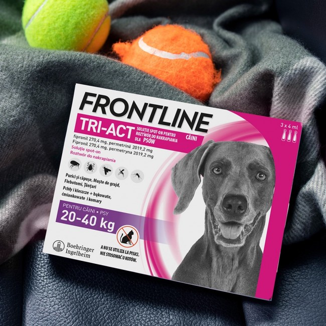 FRONTLINE Tri-act L 20-40 kg - Parasite drops for dogs - 3 x 4 ml.