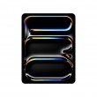 Apple iPad 13-inch Pro Wi Fi 256GB with standard glass - Space Black