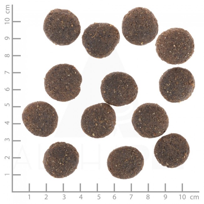 WOLFSBLUT Range Lamb Lamb with rice - dry dog food - 12,5kg
