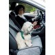 ZOLUX Nomad protective cover for the front car seat