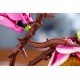 LEGO BOTANICALS 11510 Magnolia Branches