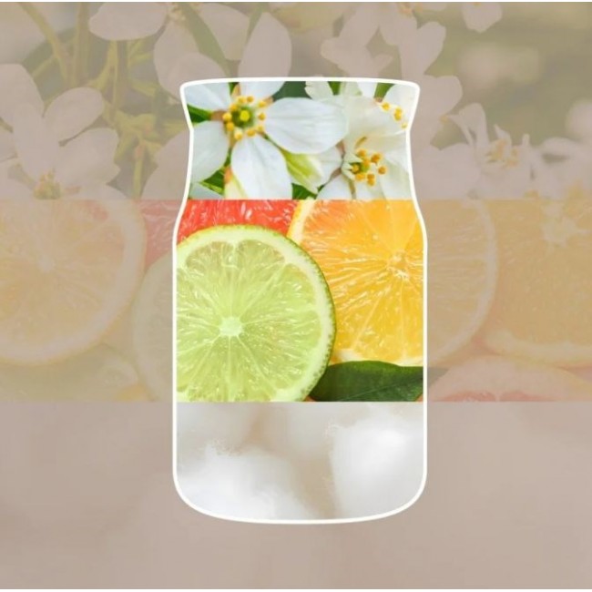 Scented Candle SEASIDE WOODS YANKEE HOME 37 g mini