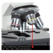 Delta Optical BioStage II Microscope
