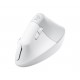 Logitech Lift Vertical Ergonomic Mouse for Business