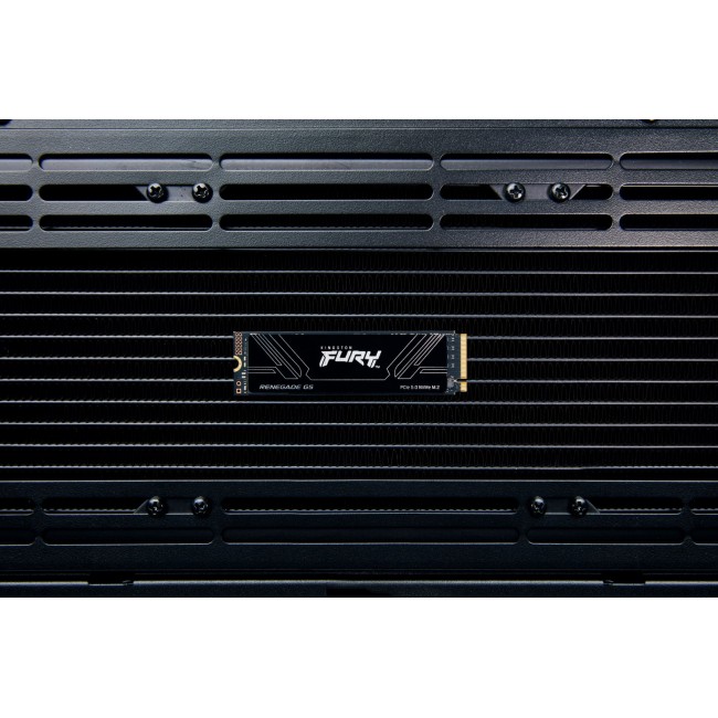Kingston Technology 1T FURY RENEGADE G5 M.2 2280 NVMe SSD Kingston Technology 1T FURY RENEGADE G5 M.2 2280 NVMe SSD