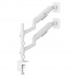 Ergo Office Mount/Hanger for 2 Monitors, Gas Spring, 17 Ergo Office Mount/Hanger for 2 Monitors, Gas Spring, 17