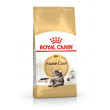 ROYAL CANIN FBN Maine Coon Adult dry cat food - 10kg