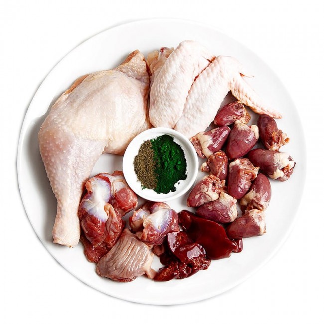 3COTY Chicken with spirulina Senior - wet cat food - 80g