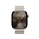 Apple 42mm Natural Link Bracelet Apple 42mm Natural Link Bracelet