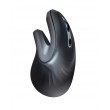 Trust Verro mouse Office Right-hand RF Wireless Optical 1600 DPI
