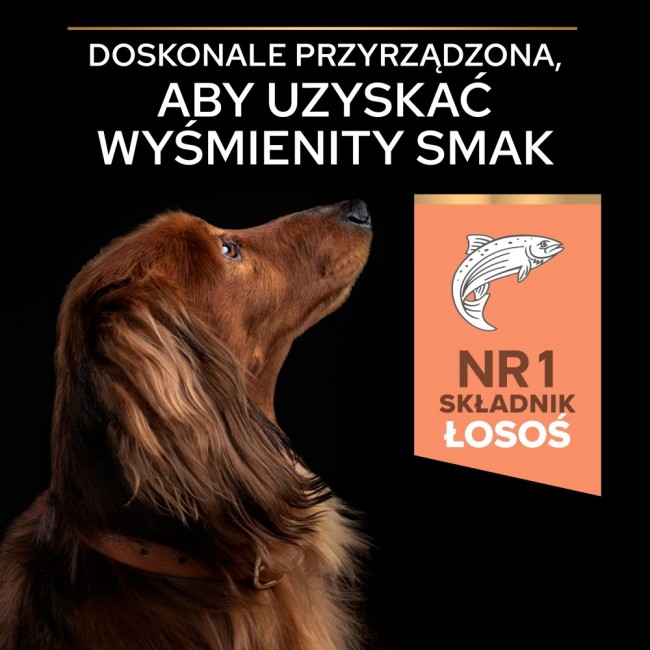 PURINA Pro Plan Sensitive Skin Small & Mini Adult Salmon - dry dog food - 700g PURINA Pro Plan Sensitive Skin Small & Mini Adult Salmon - dry dog food - 700g