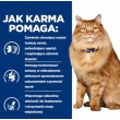 HILL'S PD K/D Kidney + Mobility Chicken - dry cat food - 3kg