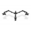 Digitus Dual monitor mount, 2x 32