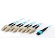 Equip MTP/SC Trunk Fiber Patch Cord, OM4, 7m
