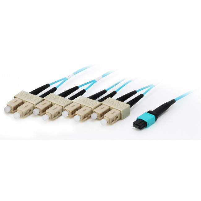 Equip MTP/SC Trunk Fiber Patch Cord, OM4, 7m