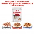 ROYAL CANIN FHN Instinctive - wet pate food for adult cats - 12x 85g