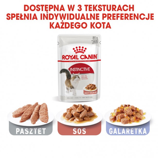 ROYAL CANIN FHN Instinctive - wet pate food for adult cats - 12x 85g ROYAL CANIN FHN Instinctive - wet pate food for adult cats - 12x 85g