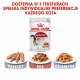 ROYAL CANIN FHN Instinctive - wet pate food for adult cats - 12x 85g ROYAL CANIN FHN Instinctive - wet pate food for adult cats - 12x 85g