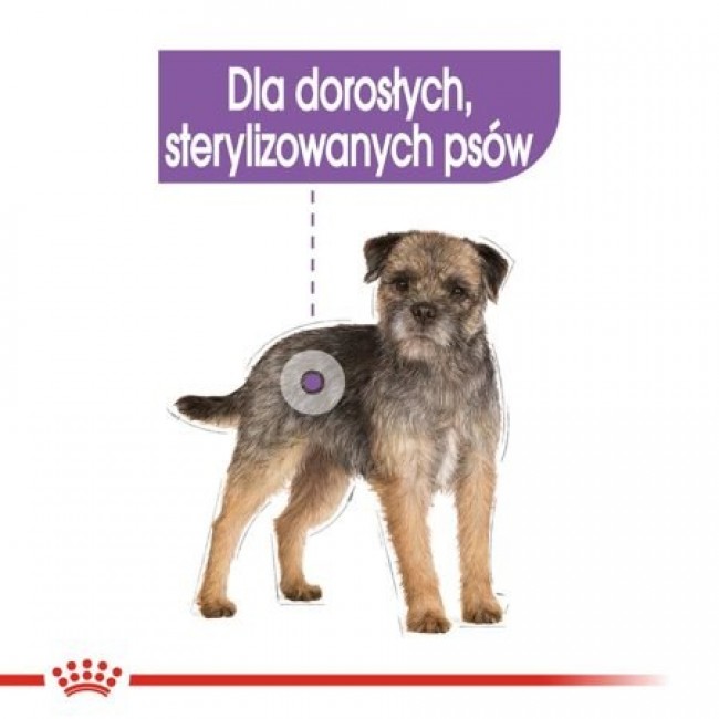 Royal Canin CCN Sterilised Loaf - wet food for adult dogs - 12x85g Royal Canin CCN Sterilised Loaf - wet food for adult dogs - 12x85g